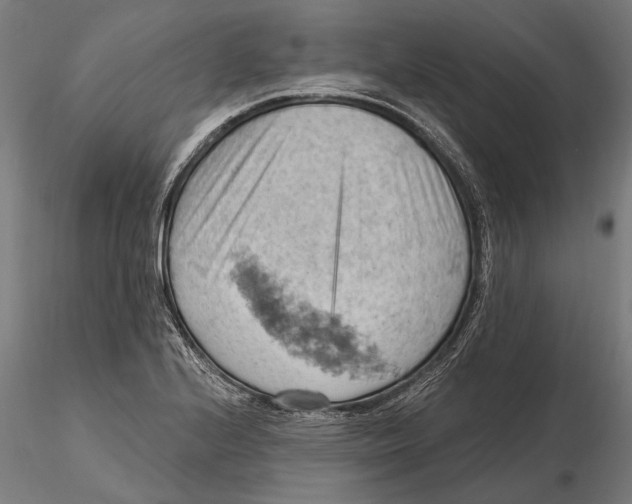 X0000115591224200912081042