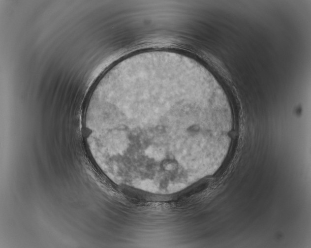 X0000115591226200912081042
