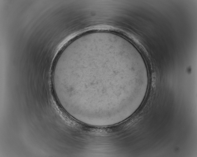 X0000115591229200912081042