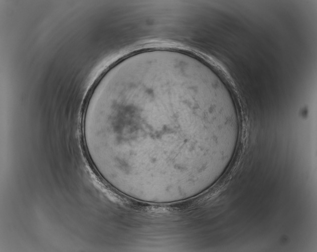 X0000115591231200912081042