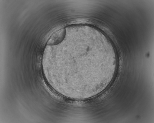 X0000115591233200912081042