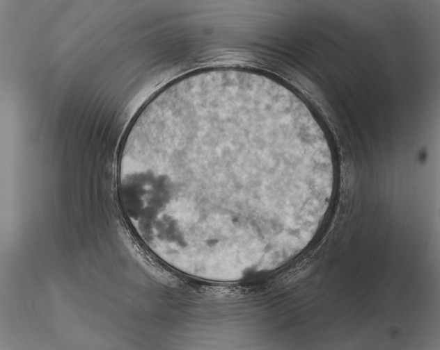 X0000115591234200912081042