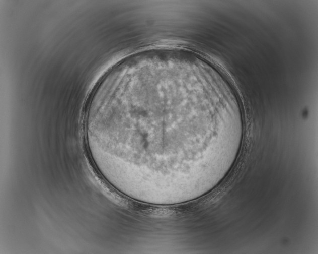 X0000115591235200912081042