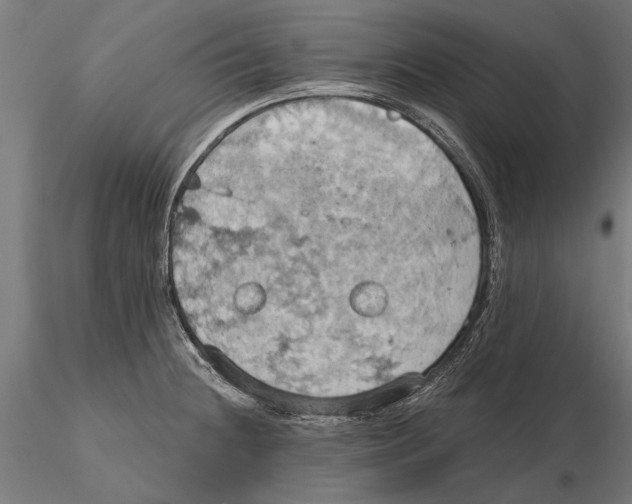 X0000115591236200912081042