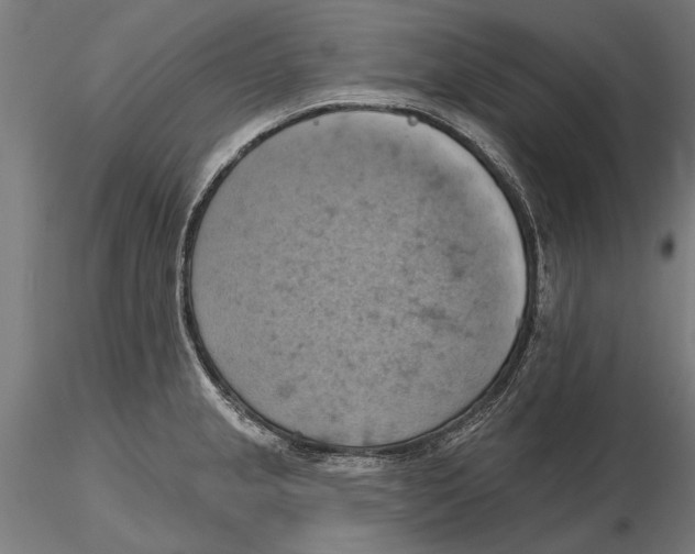 X0000115591237200912081042