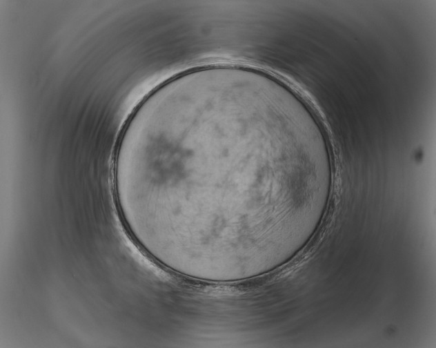 X0000115591239200912081042