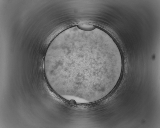 X0000115591241200912081042