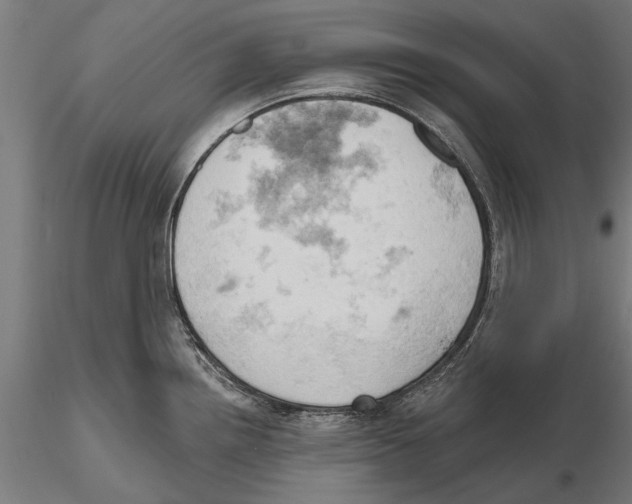 X0000115591242200912081042