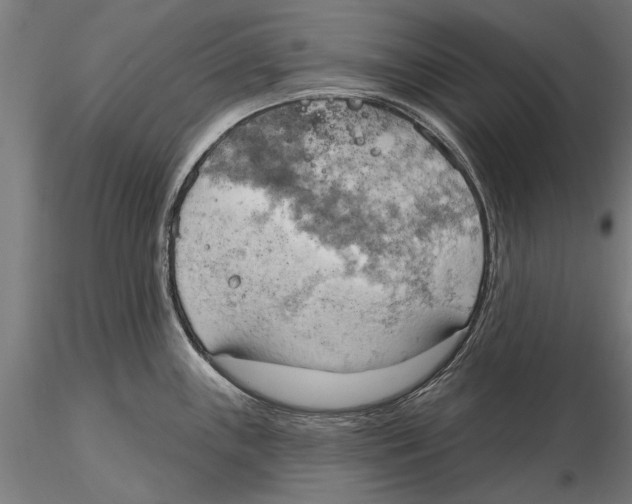 X0000115591243200912081042