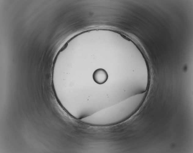 X0000115591244200912081042