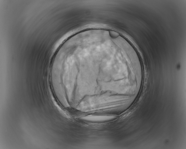 X0000115591245200912081042