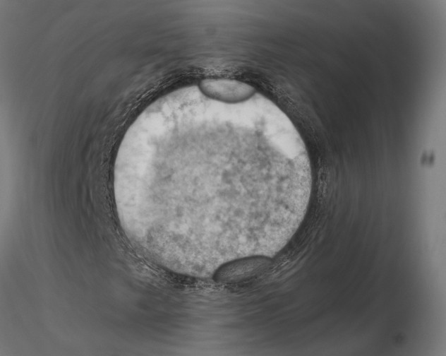 X0000115591249200912081041