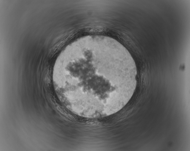 X0000115591250200912081041