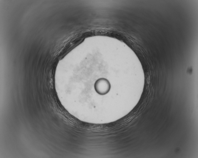 X0000115591252200912081041
