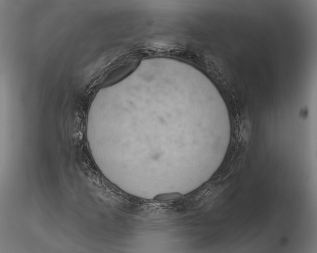 X0000115591253200912081041