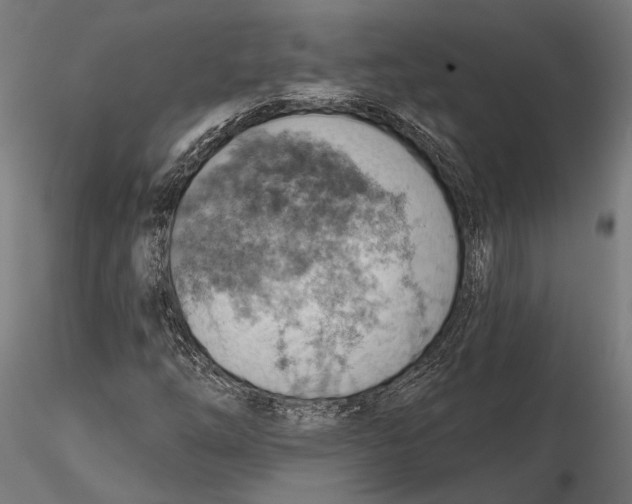 X0000115591254200912081041