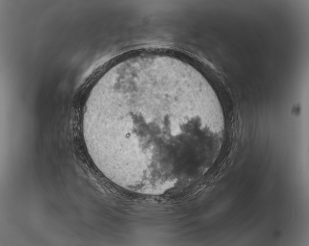 X0000115591255200912081041