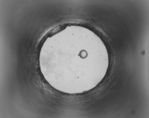 X0000115591256200912081041