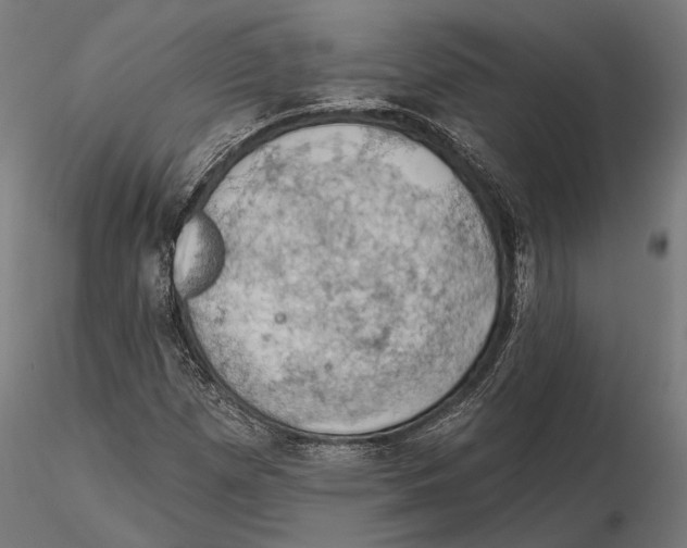 X0000115591257200912081041
