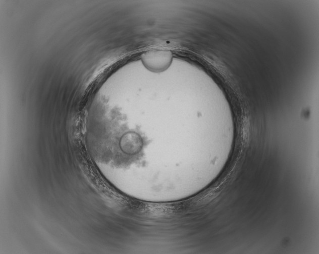 X0000115591258200912081041