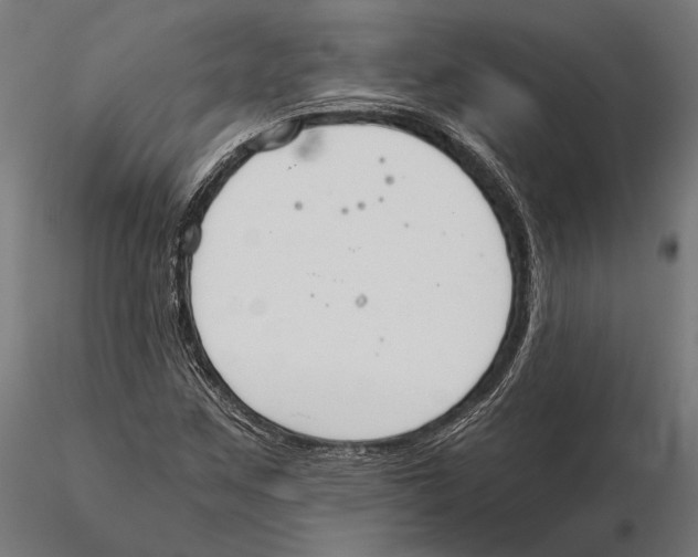 X0000115591259200912081041
