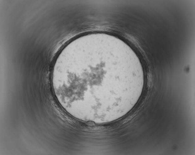 X0000115591260200912081041