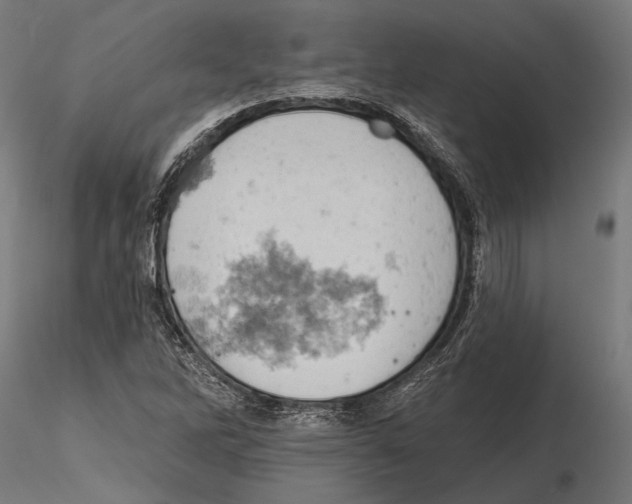 X0000115591262200912081041