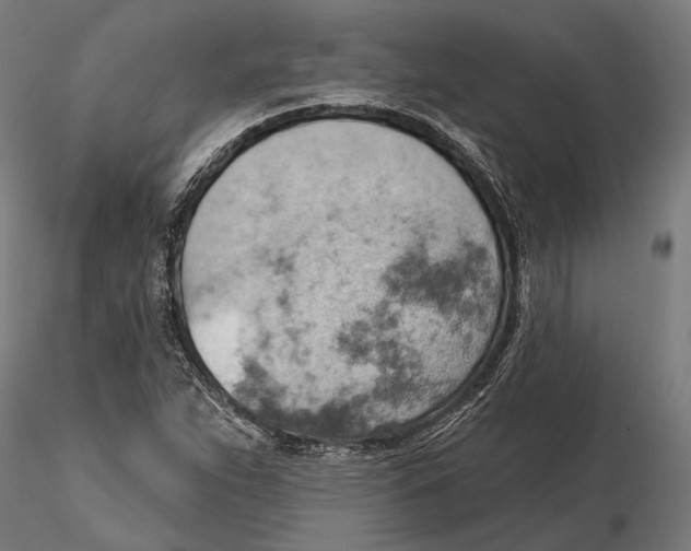 X0000115591263200912081041