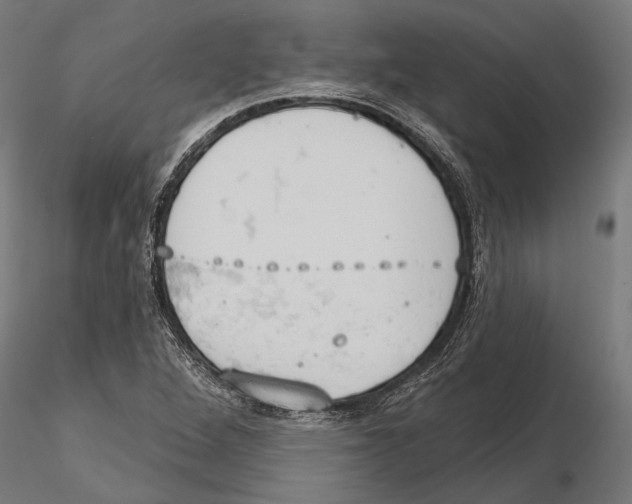 X0000115591264200912081041
