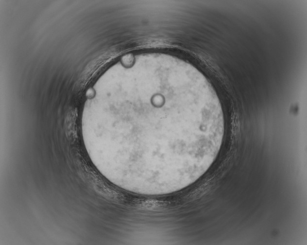 X0000115591265200912081041