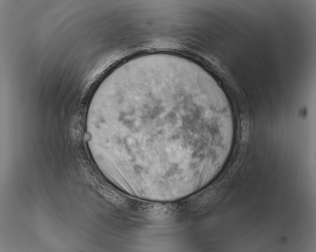 X0000115591266200912081041
