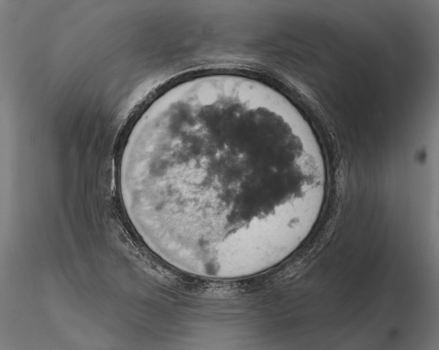 X0000115591267200912081041