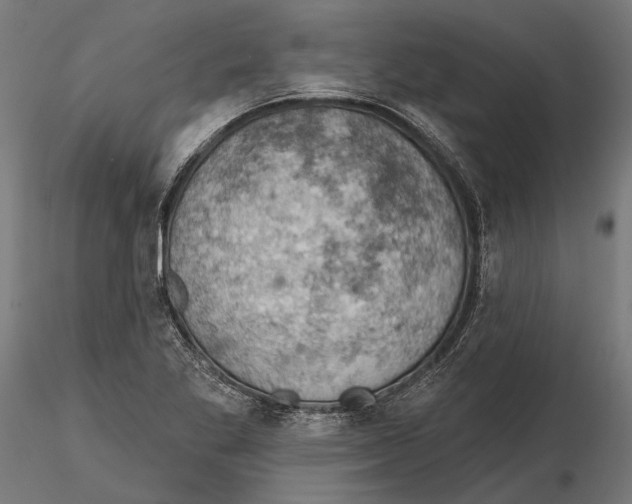 X0000115591269200912081041