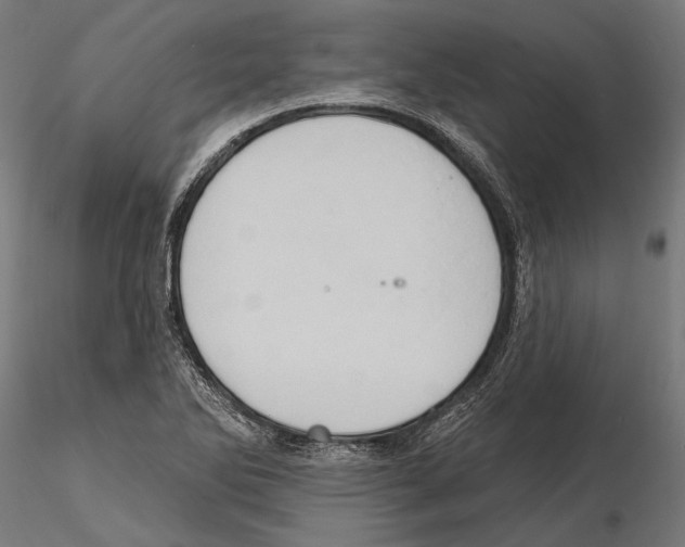 X0000115591270200912081041