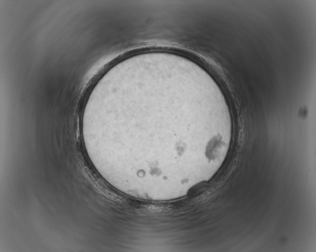 X0000115591271200912081041