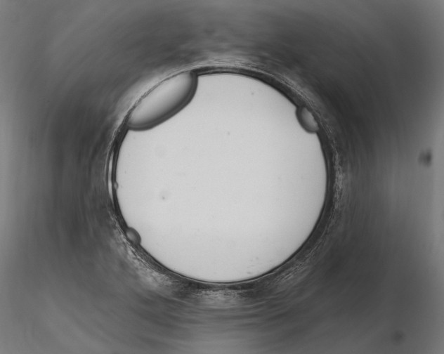 X0000115591272200912081041