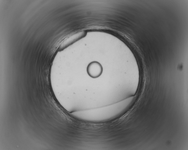 X0000115591273200912081041