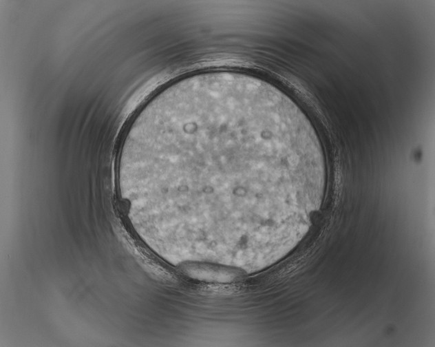 X0000115591274200912081041