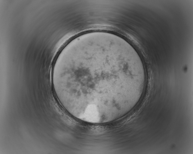 X0000115591275200912081041