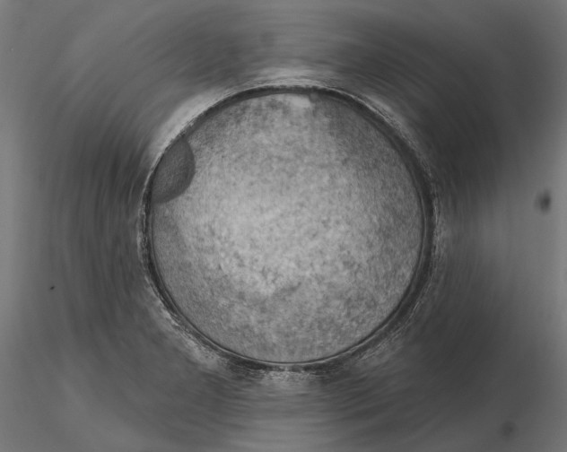X0000115591277200912081041