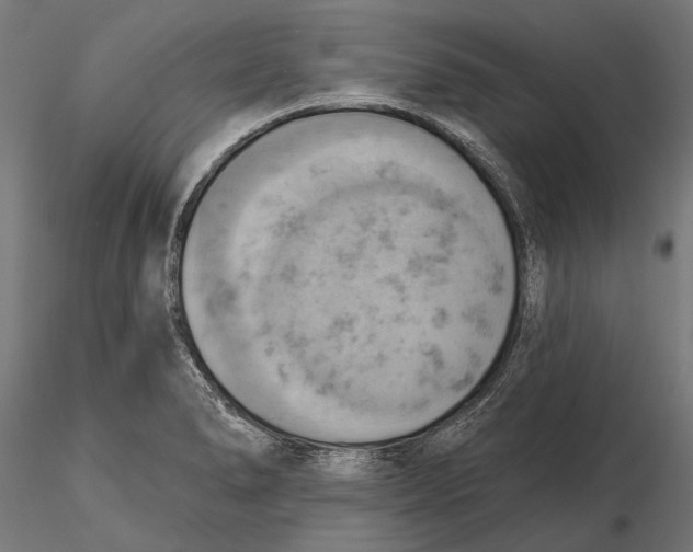 X0000115591278200912081041