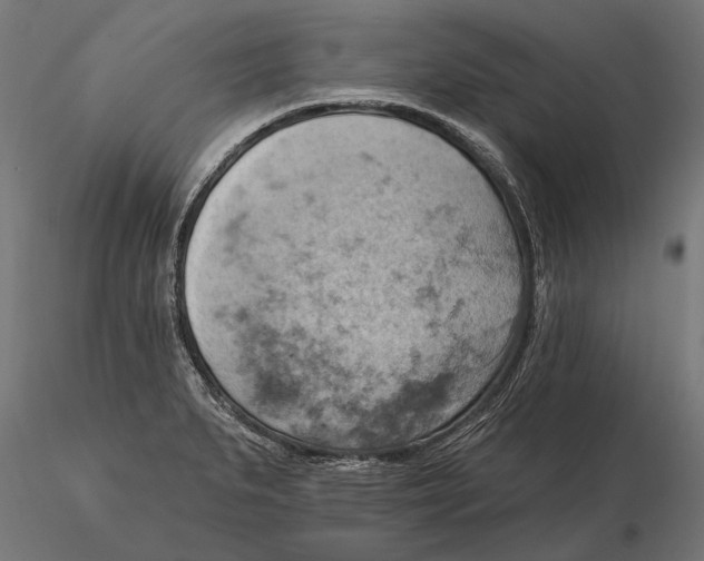 X0000115591279200912081041