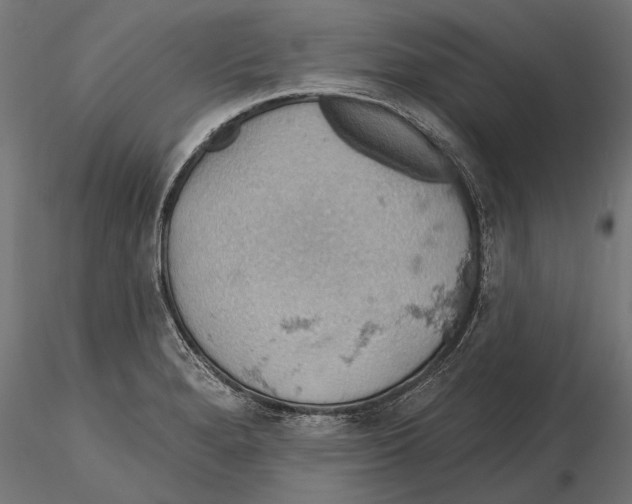X0000115591280200912081041
