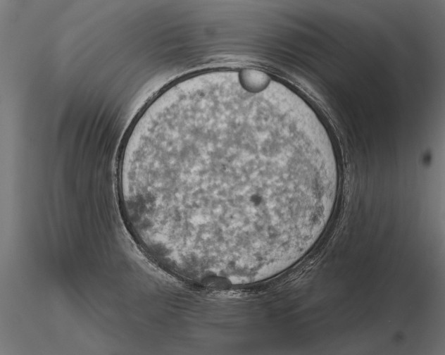 X0000115591283200912081041