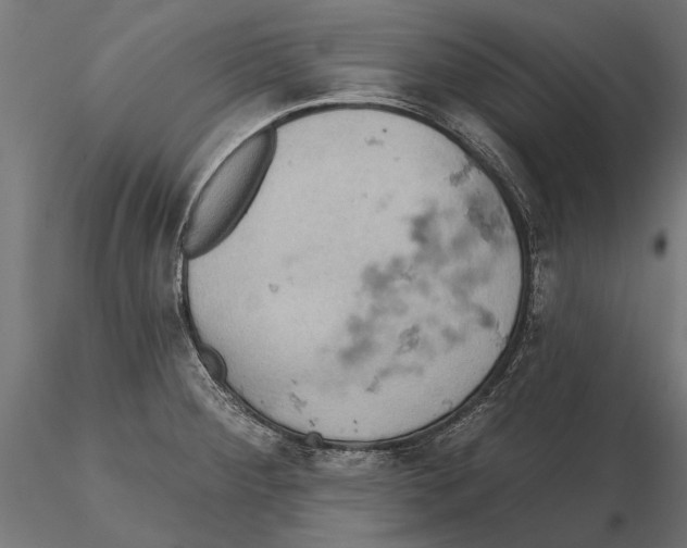 X0000115591284200912081041