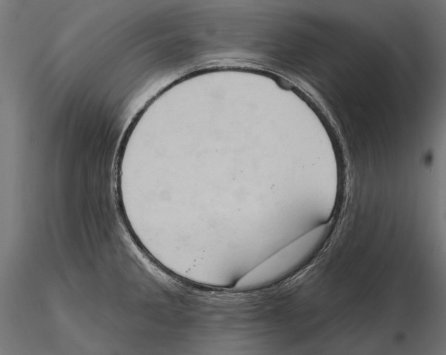 X0000115591285200912081041