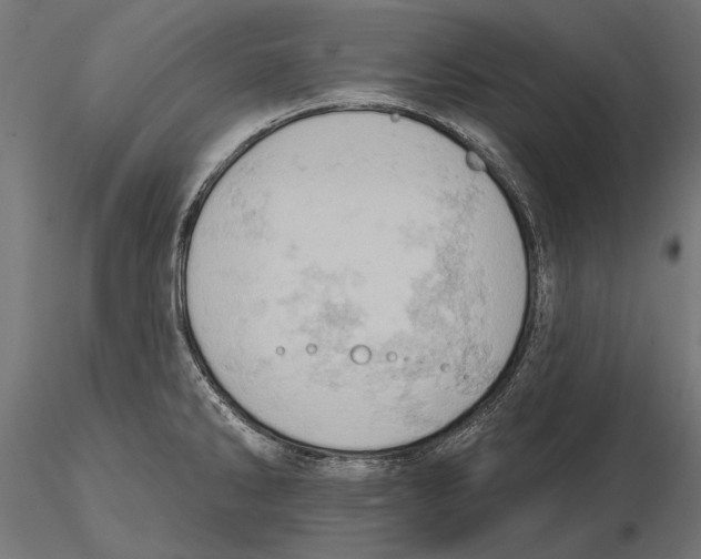X0000115591286200912081041