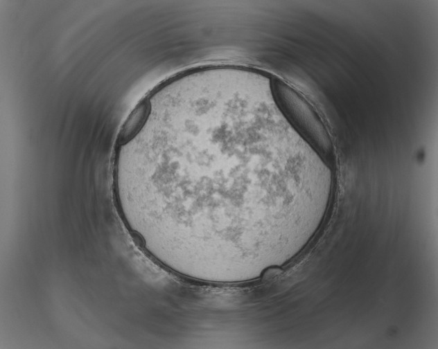 X0000115591288200912081041