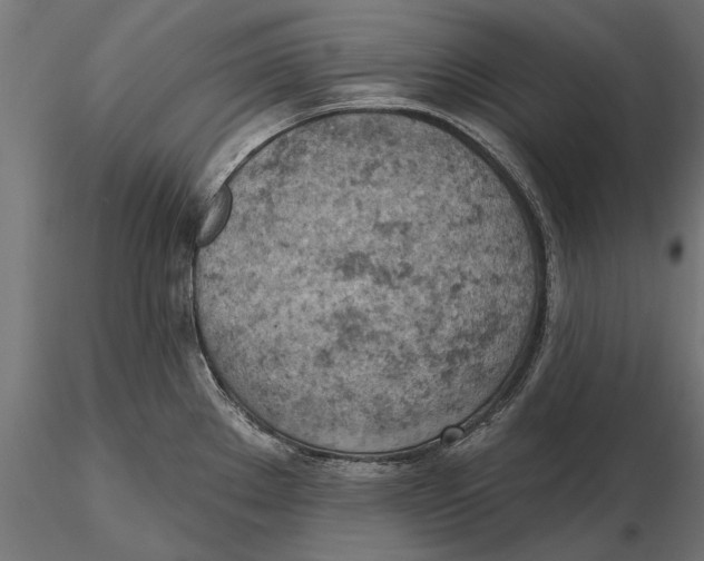X0000115591289200912081041