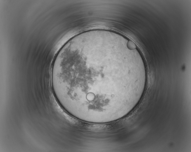X0000115591290200912081041